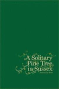 Solitary Pine Tree in Sussex
