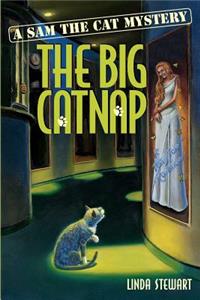 Big Catnap
