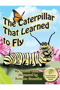 The Caterpillar That Learned to Fly