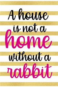 A House is Not A Home Without A Rabbit