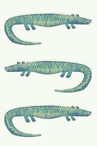 Alligators or Crocodiles