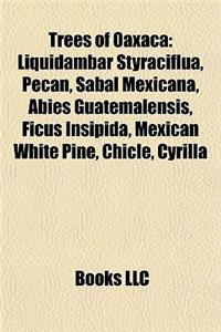 Trees of Oaxaca
