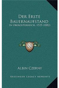 Der Erste Bauernaufstand