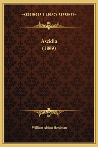 Ascidia (1899)