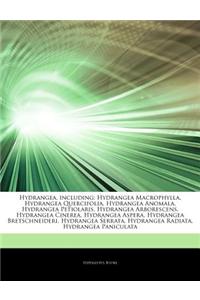 Articles on Hydrangea, Including: Hydrangea Macrophylla, Hydrangea Quercifolia, Hydrangea Anomala, Hydrangea Petiolaris, Hydrangea Arborescens, Hydran