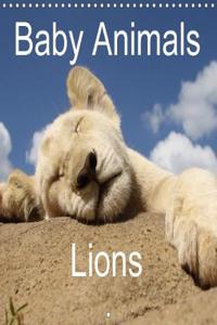 Baby Animals - Lions 2018