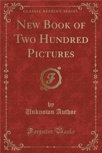 New Book of Two Hundred Pictures (Classic Reprint)