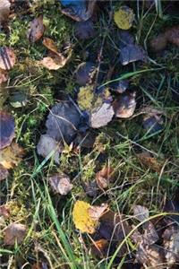 Autumn Ground II - Sweden - Photo Art Notebooks (6 x 9 series)