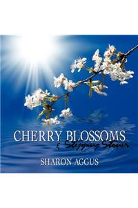 Cherry Blossoms & Stepping Stones