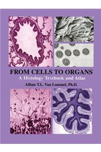 From Cells to Organs