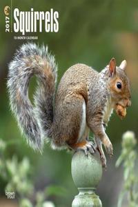 Squirrels 2017 Calendar