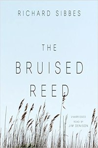 Bruised Reed