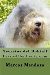 Secretos del Bobtail