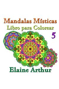 Mandalas Misticas Libro para Colorear No. 5