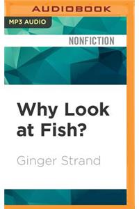 Why Look at Fish?