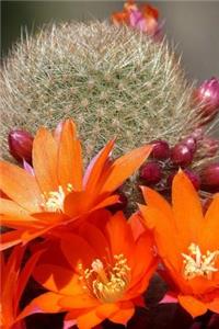 An Orange Cactus Flower Journal