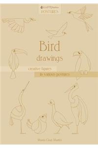 Bird Drawings: Creative Figures in Various Postures