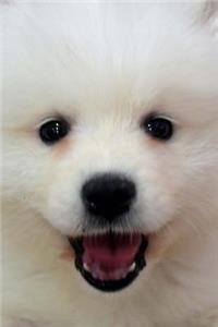Adorable Dog Journal