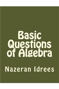 Basic Questions of Algebra