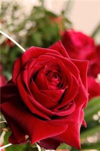 Close-up of a Red Rose Bouquet Journal