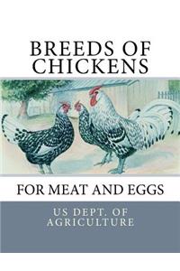 Breeds of Chickens for Meat and Eggs
