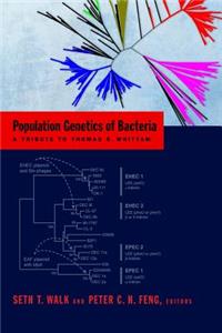 Population Genetics of Bacteria