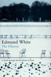 The Flaneur: A Stroll Through the Paradoxes of Paris (Writer and the City)