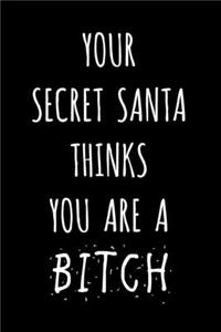 Your Secret Santa Thinks You Are A Bitch