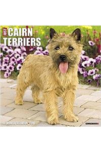 Just Cairn Terriers 2018 Calendar