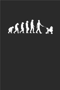 Poodle Evolution