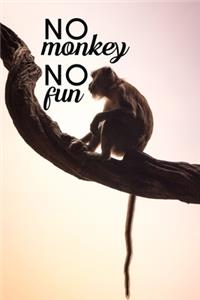 No monkey no fun