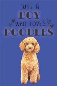 Just A Boy Who Loves Poodles