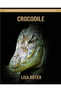 Crocodile