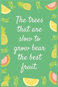 The trees that are slow to grow bear the best fruit.