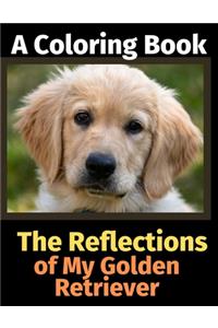 The Reflections of My Golden Retriever