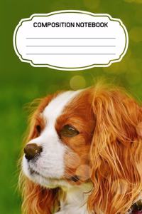 Composition Notebook: : Adorable King Charles Cavalier Spaniel Puppy Blank Lined Notebook Journal Diary 6x9