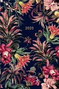 2020