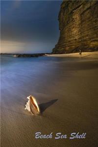 Beach Sea Shell