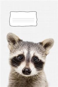 Raccoon Journal book 6x9 inch