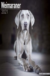 Weimaraner 2021 Wall Calendar