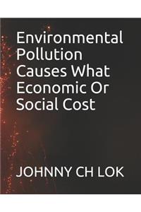 Environmental Pollution Causes What Economic or Social Cost
