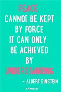 Peace Cannot Be Kept by Force It Can Only Be Achieved by Understanding - Albert Einstein