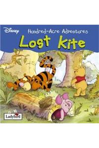 Hundred Acre Adventures : Lost Kite