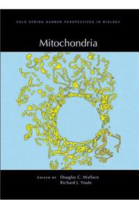 Mitochondria