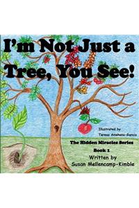 Hidden Miracles Series