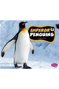 Emperor Penguins