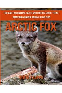 Arctic Fox