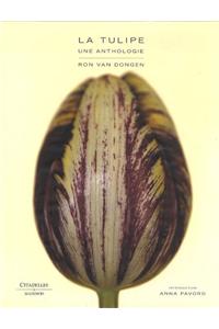 La Tulipe Une Anthologie