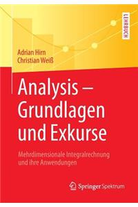 Analysis - Grundlagen Und Exkurse