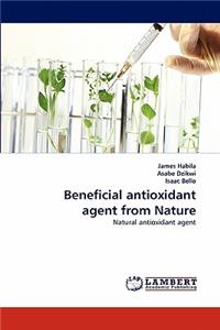 Beneficial antioxidant agent from Nature